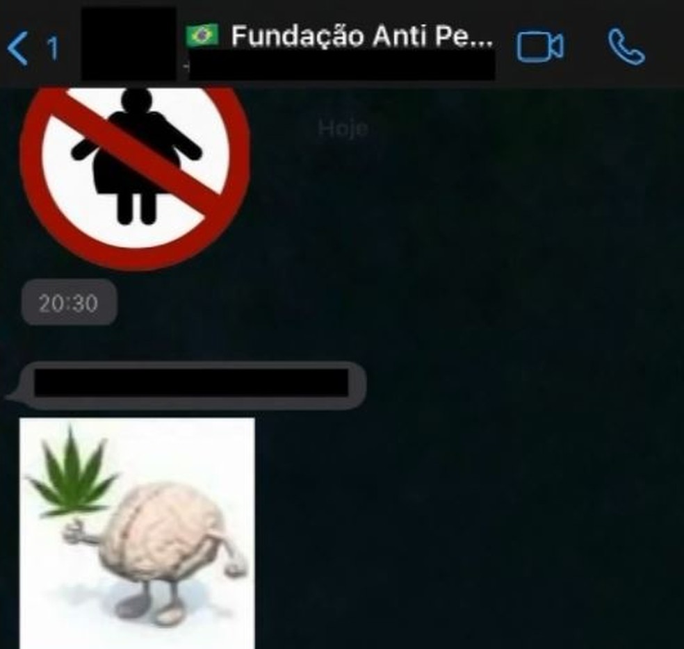 Conteúdo machista também foi encaminhado em grupo com jovem negro de escola particular de Valinhos — Foto: Reprodução/EPTV
