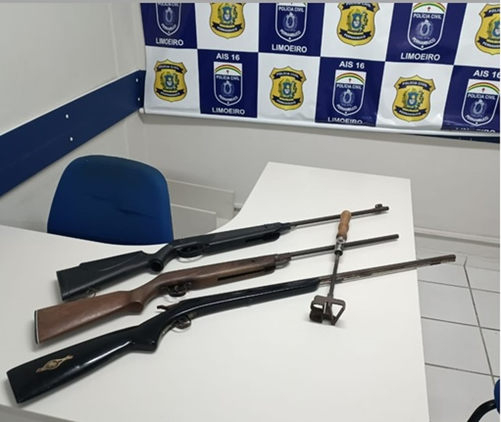 Armas foram apreendidas em operação contra suspeitos de furtar gado em Pernambuco e Paraíba — Foto: Polícia Civil/Divulgação 