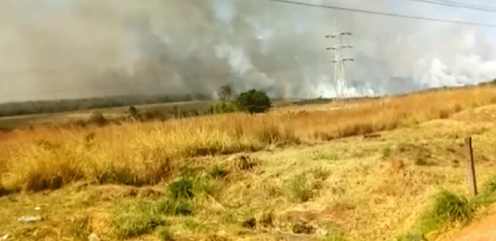 Vegetação seca em Brasília e a fumaça dos incêndios que castigam o Cerrado (Foto: TV Globo/Reprodução)