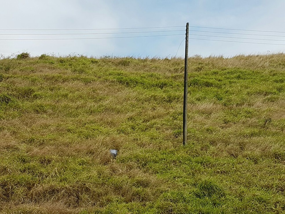 Homem morreu ap&oacute;s levar descarga el&eacute;trica de um fio num canavial em Carpina, na Mata Norte de PE (Foto: Pol&iacute;cia Militar/Divulga&ccedil;&atilde;o)