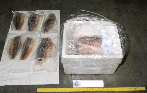 Dupla tentou contrabandear drogas escondidas em peixes congelados (Foto: Australian Federal Police/AP)