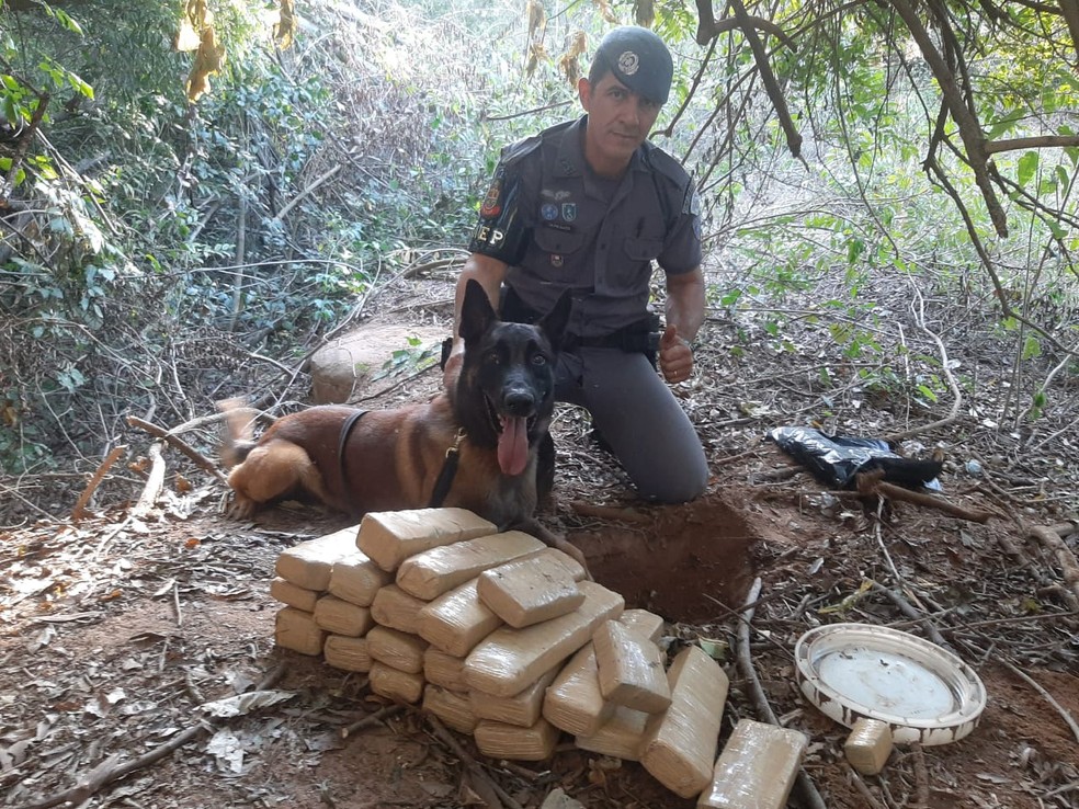 Tambor enterrado com droga dentro foi localizado com apoio do cão Samurai — Foto: Arquivo pessoal/César Alves da Conceição 