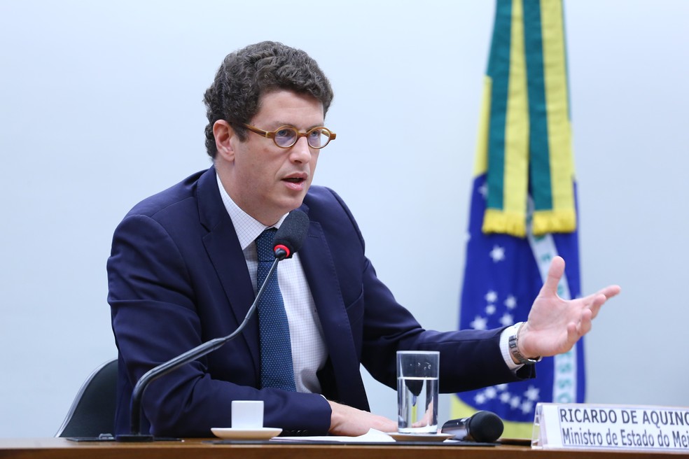 Ricardo Salles, ministro do Meio Ambiente — Foto: Vinícius Loures/Câmara dos Deputados