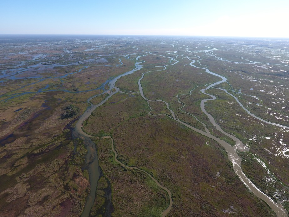 Riachos e canais no Rio Taquari numa área de Pantanal em Corumbá (MS)