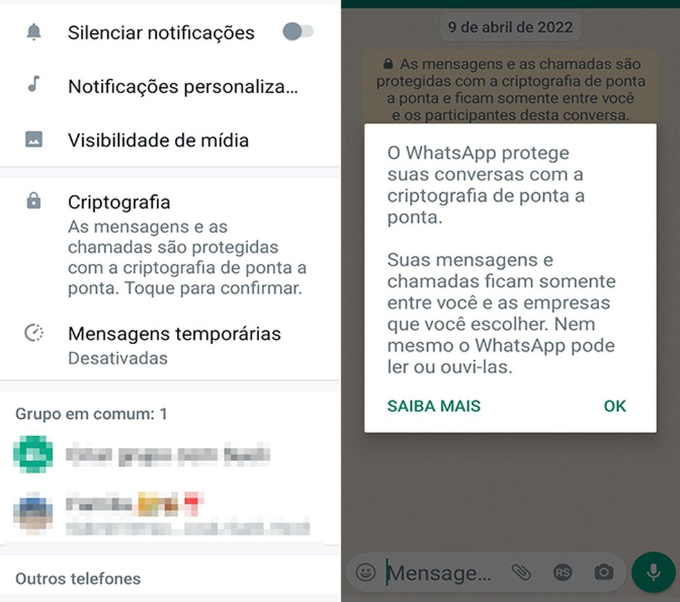 WhatsApp fornece criptografia para proteção em conversas individuais, chats em grupos e bate-papos com empresas — Foto: Reprodução/Flávia Fernandes