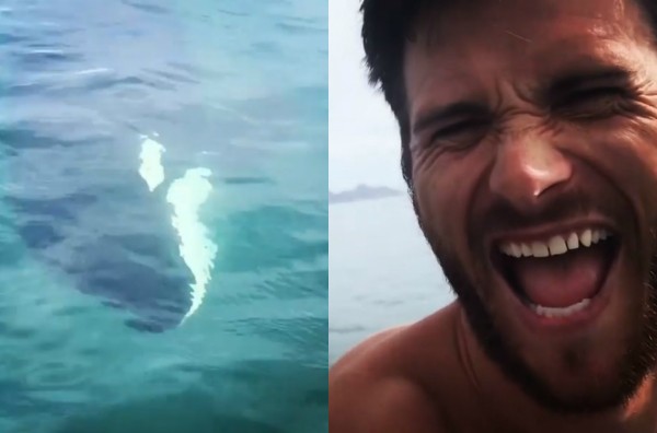 Scott Eastwood em seu encontro com as baleias (Foto: Reprodução Instagram)
