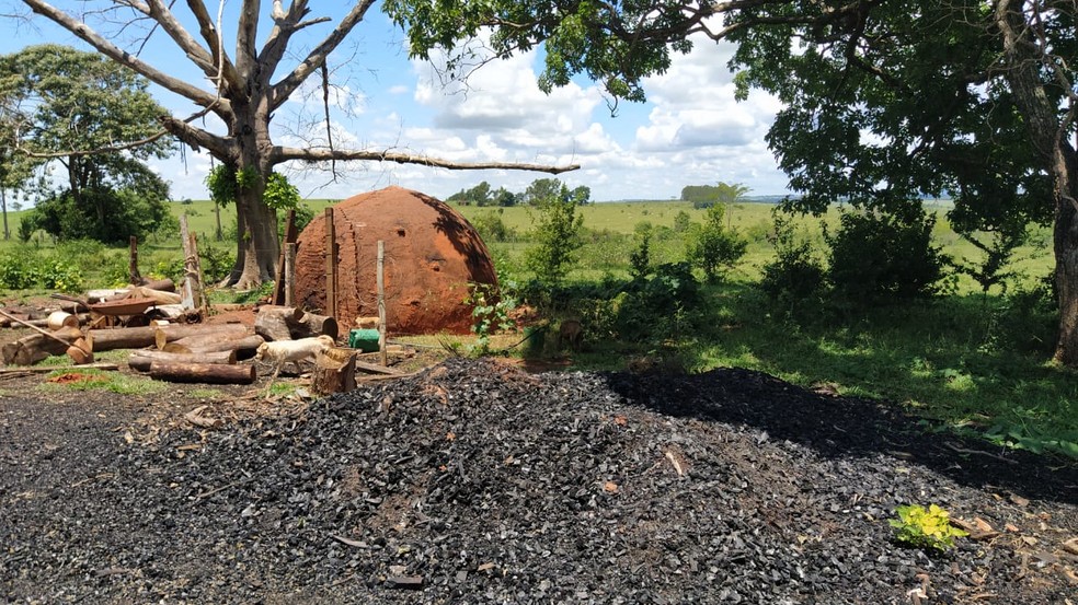 Carvão produzido ilegalmente foi apreendido em Piquerobi — Foto: Polícia Militar Ambiental