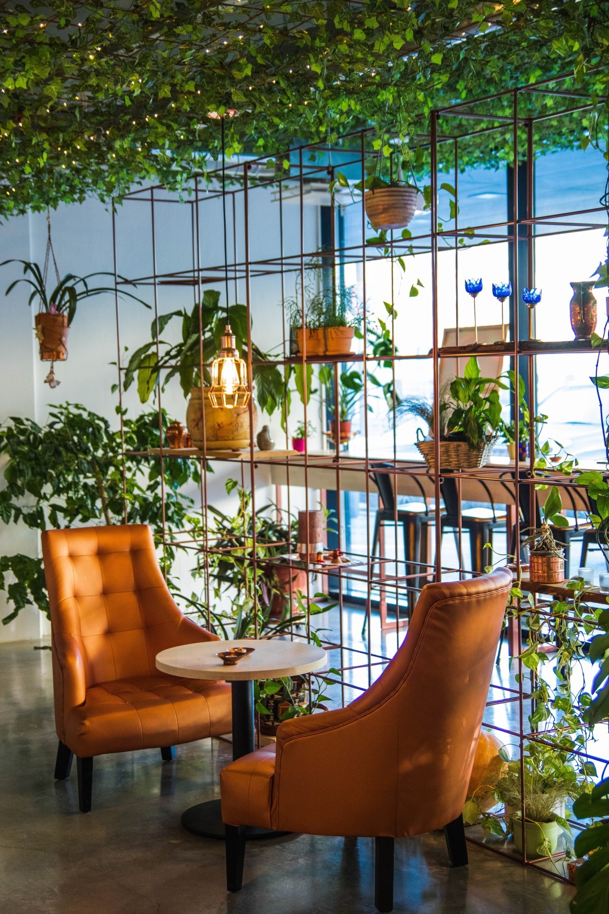 A neuroarquitetura busca trazer a natureza para os ambientes, para proporcionar bem-estar para os indivíduos (Foto: Pexels / Valeria Boltneva / CreativeCommons)