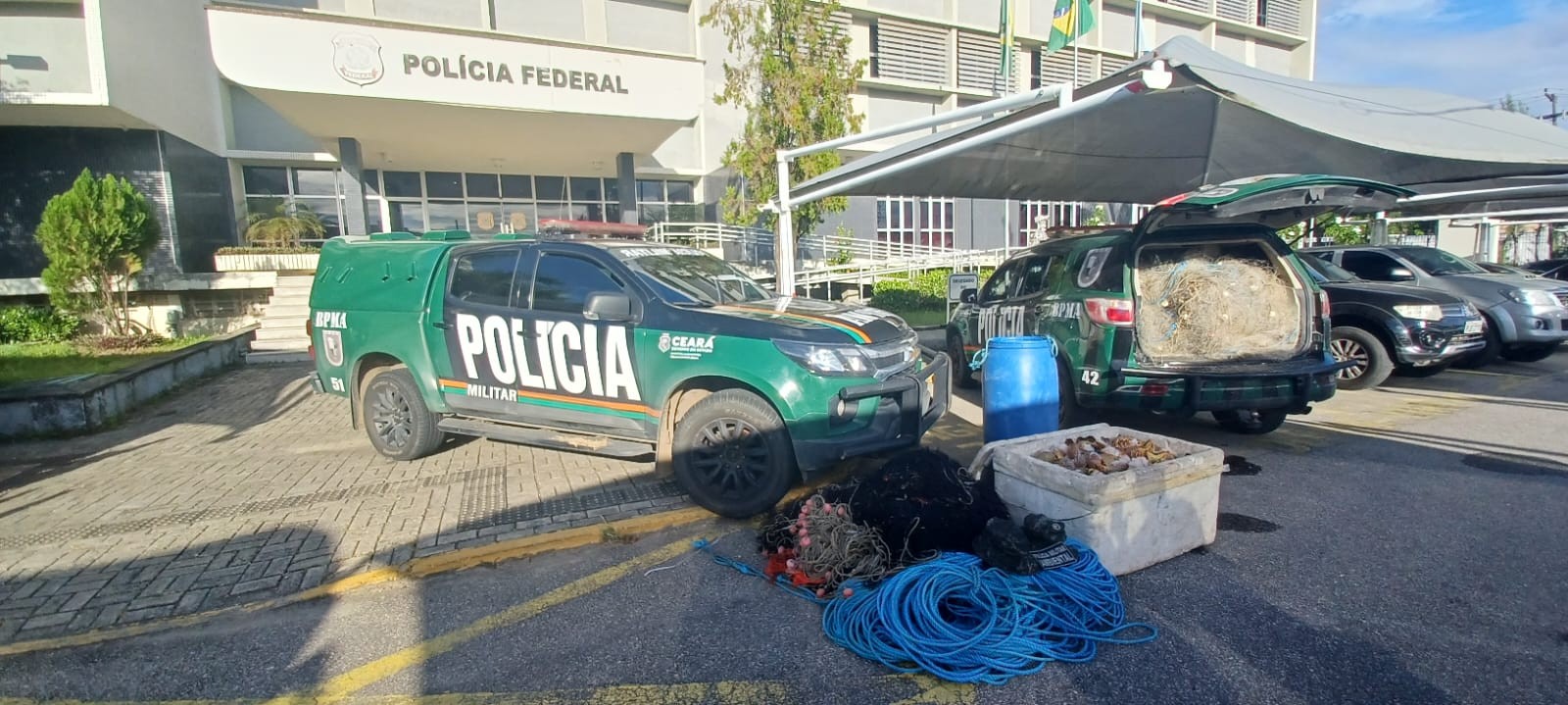 Grupo suspeito de pesca ilegal é preso com 150kg de lagosta em Fortaleza