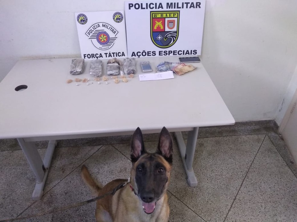 Cadela Mayla auxiliou nas buscas na mata  — Foto: Polícia Militar/Cedida