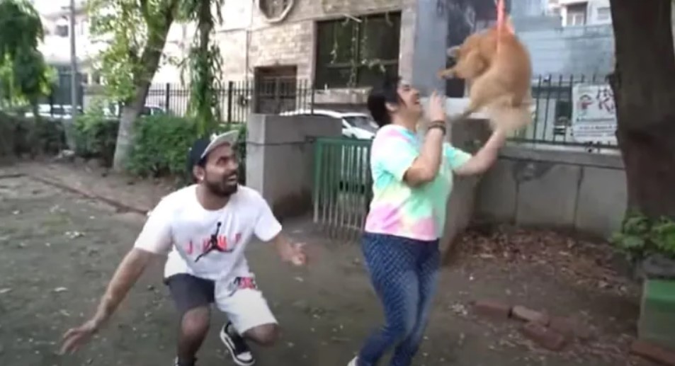 Youtuber é preso após fazer cachorro voar amarrado a balões (Foto: Reprodução/India Today)