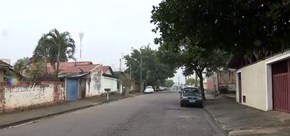 Menino foi picado no bairro Jardim São Paulo, em Limeira (Foto: Reprodução/EPTV)