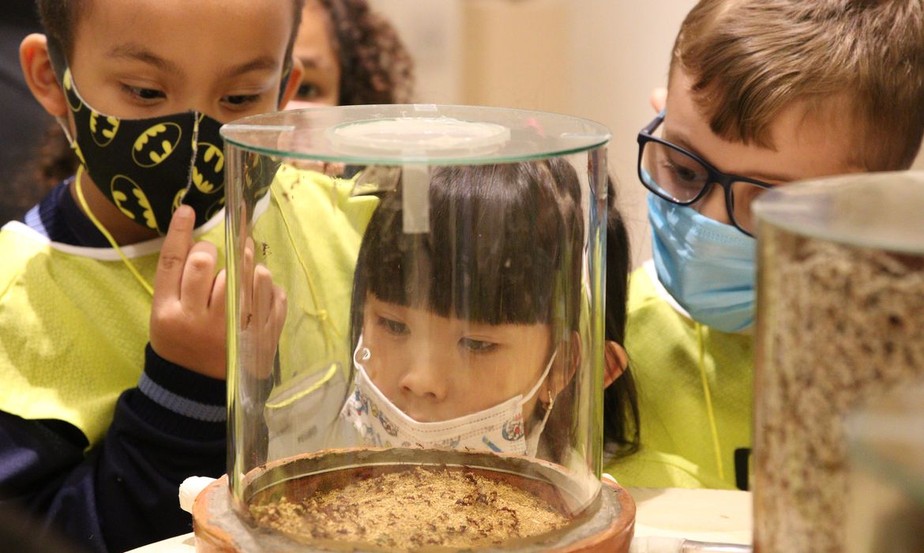 Exposição permanente do Museu do Instituto Biológico reabre ao público