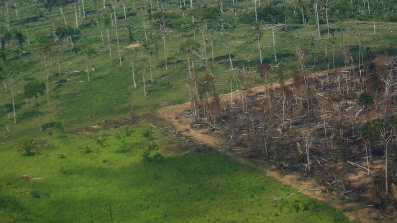 REUTERS/ADRIANO MACHADO Legenda da foto, Sem controle do desmatamento da Amazônia, mundo não consegue alcançar meta de controle das mudanças climáticas, dizem ambientalistas (Foto: Reuters/Adriano Machado via BBC News Brasil)