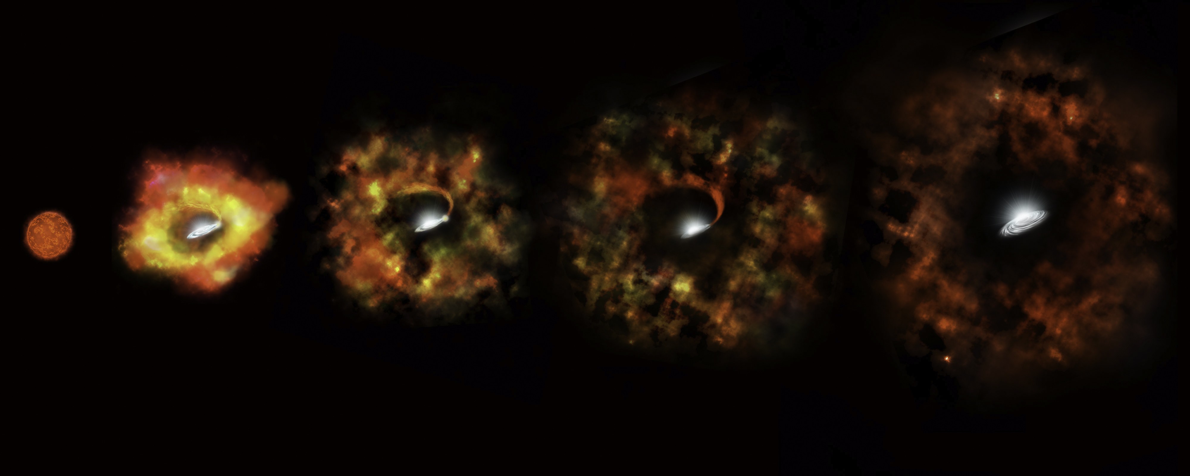 Estrela 25 vezes mais massiva que o Sol deveria explodir em uma supernova, mas falhou — e virou um buraco negro (Foto: NASA, ESA, and P. Jeffries (STScI))