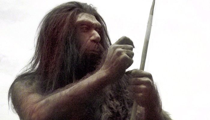 El estudio concluyó que los neandertales sí tenían una bacteria beneficiosa en sus intestinos: la Galileo Revista
