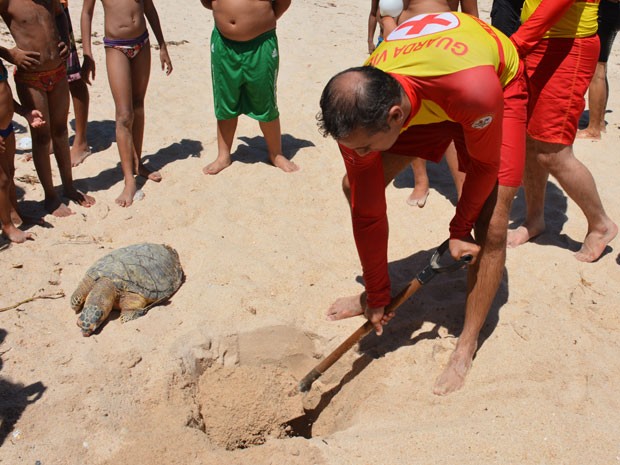 Animal foi enterrado na Praia do Sol, em João Pessoa (Foto: Walter Paparazzo/G1)