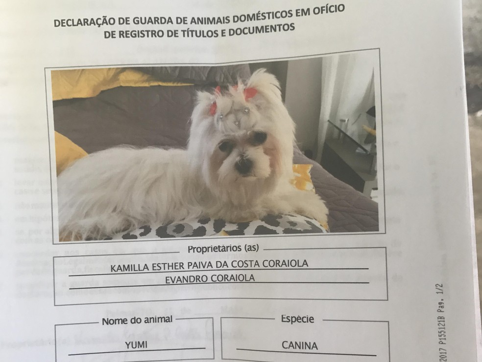 Registro de animais começou a ser feito há poucos dias em Palmas (Foto: Arquivo Pessoal)