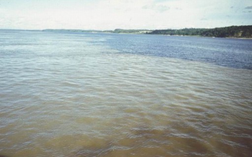 onde nasce o rio tapajós