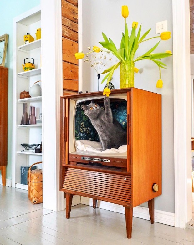 Décor do dia: TV vintage vira caminha para gato (Foto: @vintageinteriorxx)