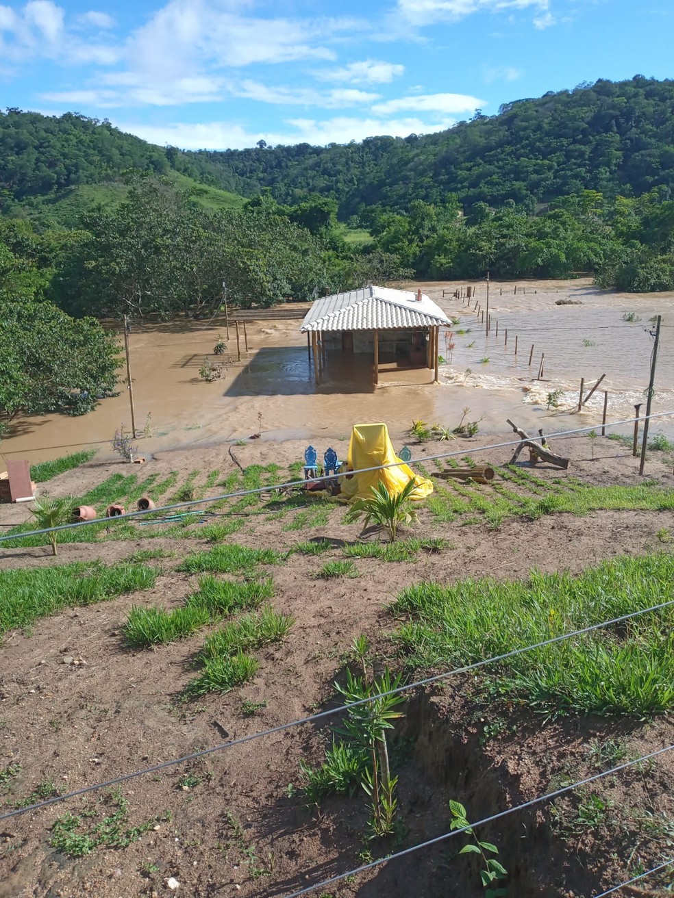 Fortes chuvas alagam plantações em Minas Gerais — Foto: Federação da Agricultura e Pecuária do Estado de Minas Gerais (Faemg)