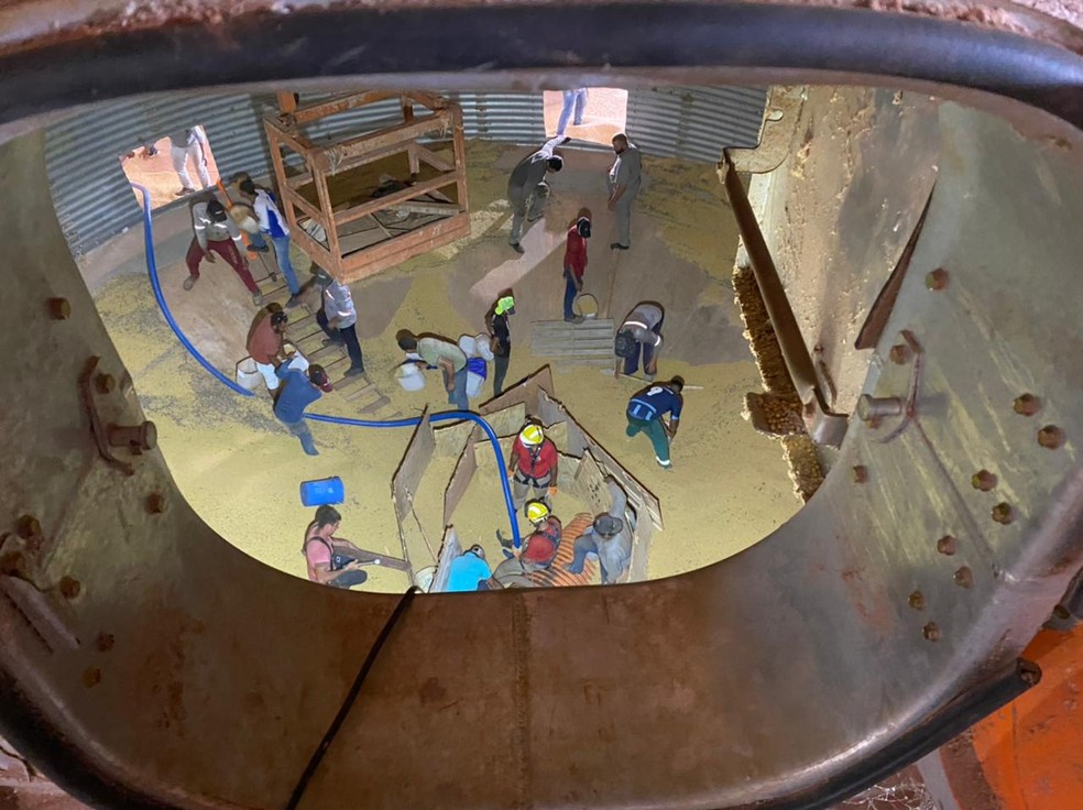 Outros funcionários deram apoio para o resgate, mas a vítima não resistiu — Foto: Corpo de Bombeiros