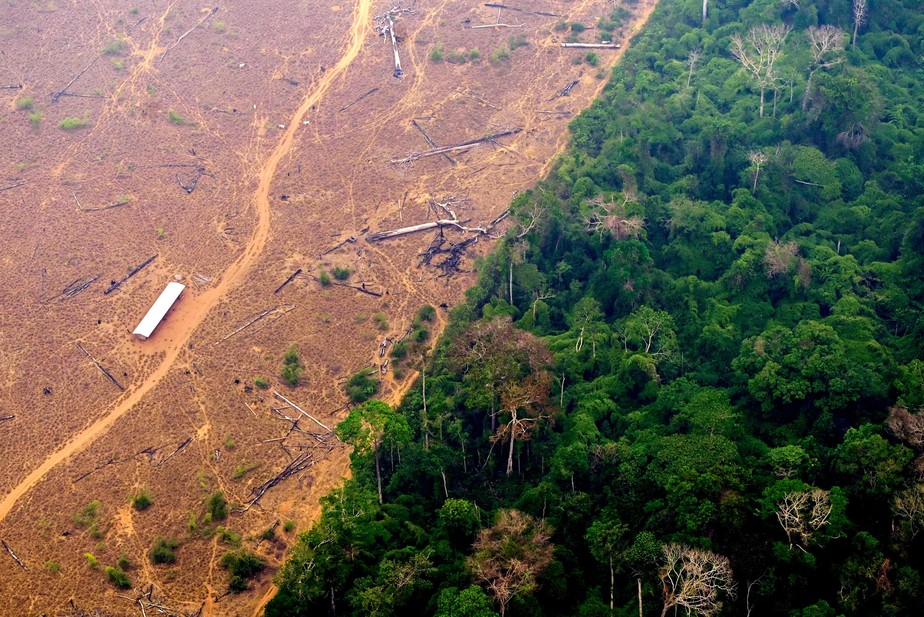 Vista de uma área desmatada na floresta amazônica na região de Lábrea, estado do Amazonas