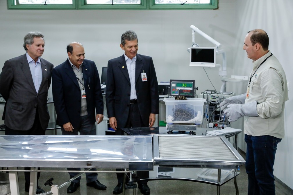 Um dos filhotes pesa 3,6 quilos — Foto: Kiko Sierich/Divulgação