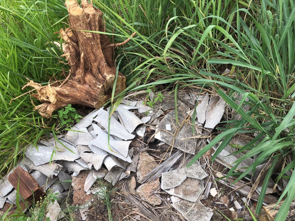 Ferrovia est&aacute; abandonada em Presidente Prudente (Foto: Wellington Roberto/G1)