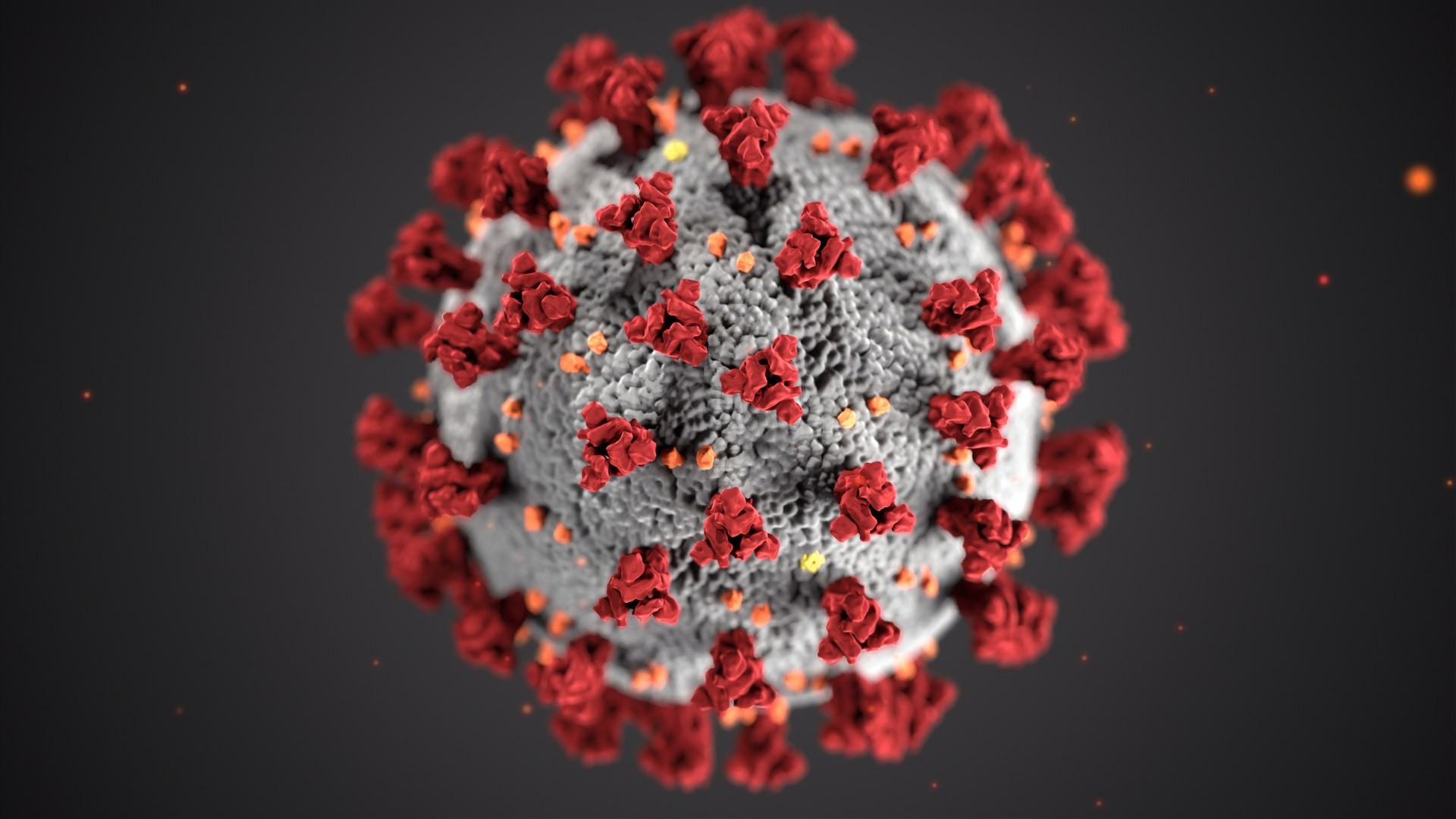 Cientistas encontraram genes sobrepostos no vírus que causa a Covid-19 (Foto:  CDC / Unsplash)