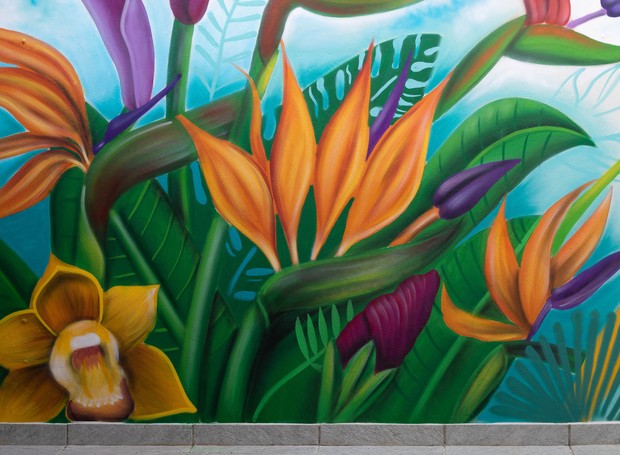 Mural de grafite com flores feito no Hospital Cristo Redentor, em Porto Alegre (RS), pelos artistas Lucas Anão e Erick Citron Becors (Foto: Divulgação)