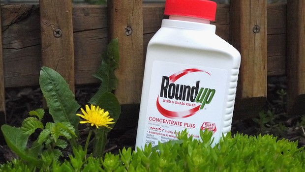 Roundup, herbicida que contém substância cancerígena, causou uma série de problemas legais para a Bayer (Foto: Scott Olson/Getty Images)