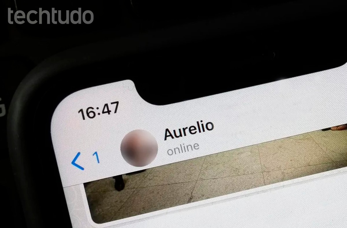 Como tirar o 'online' do WhatsApp no iPhone