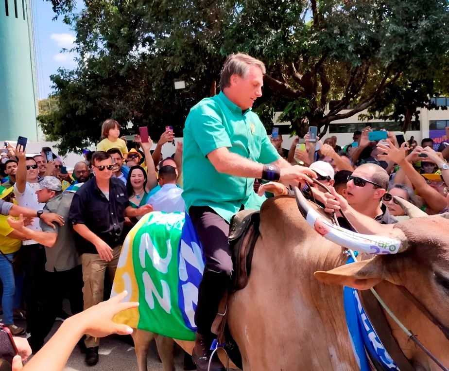 Bolsonaro monta em touro durante campanha em Pernambuco.
