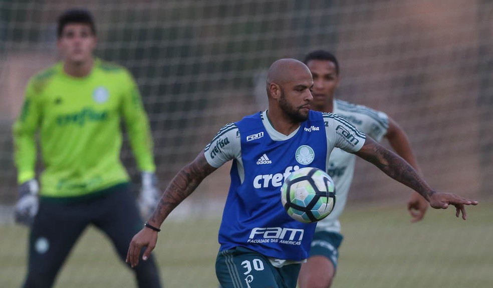 Felipe Melo participa de rachão no Palmeiras (Foto: Cesar Greco/Ag. Palmeiras/Divulgação)