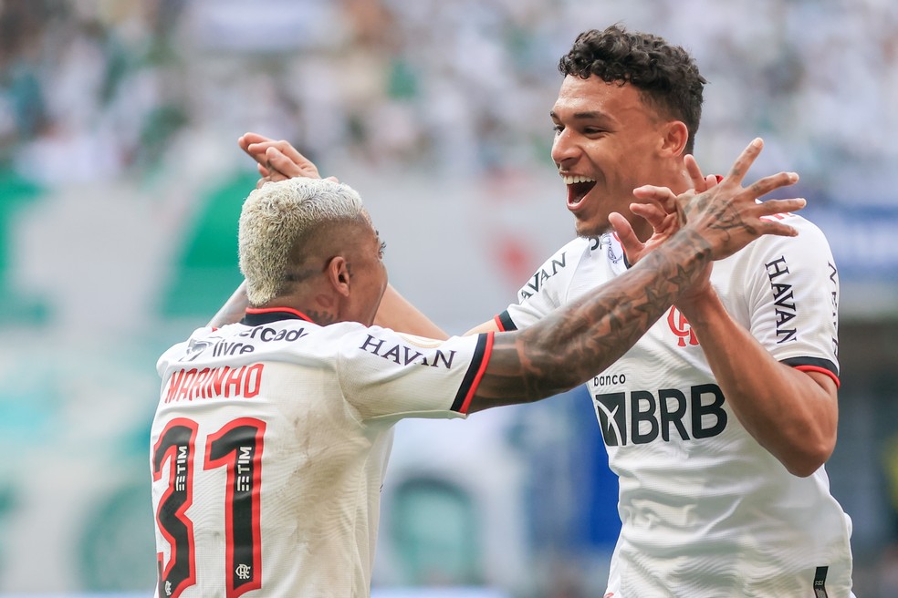 PALMEIRAS X FLAMENGO - Victor Hugo &mdash; Foto: Marcello Zambrana/AGIF
