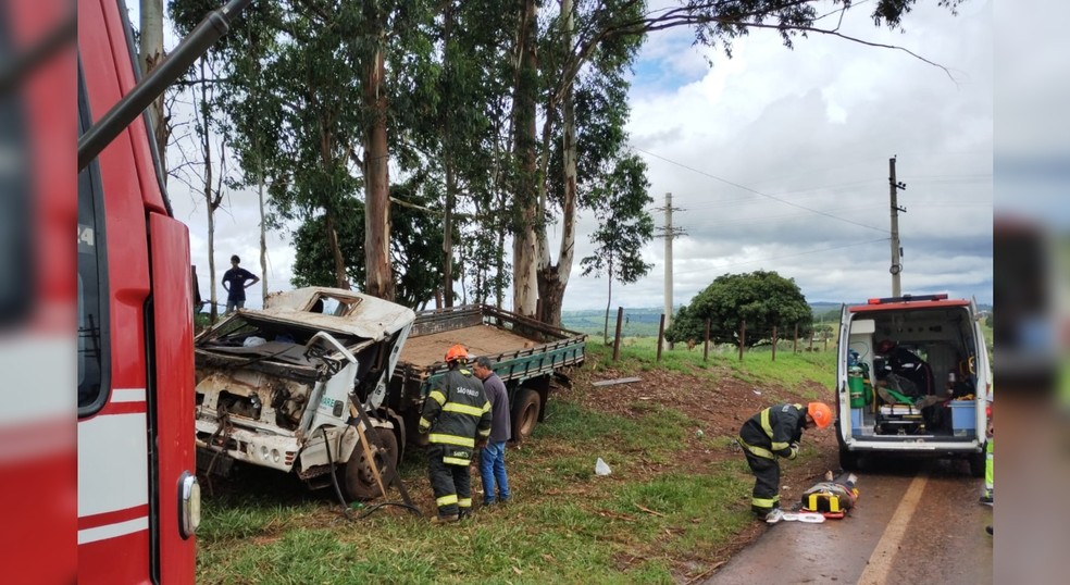 Motorista perdeu o controle e acabou atingindo uma árvore.  — Foto: Polícia Miliar/Divulgação