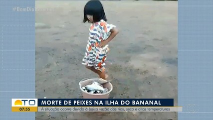 Seca e altas temperaturas são responsaveis por mortes de peixeis na Ilha do Bananal