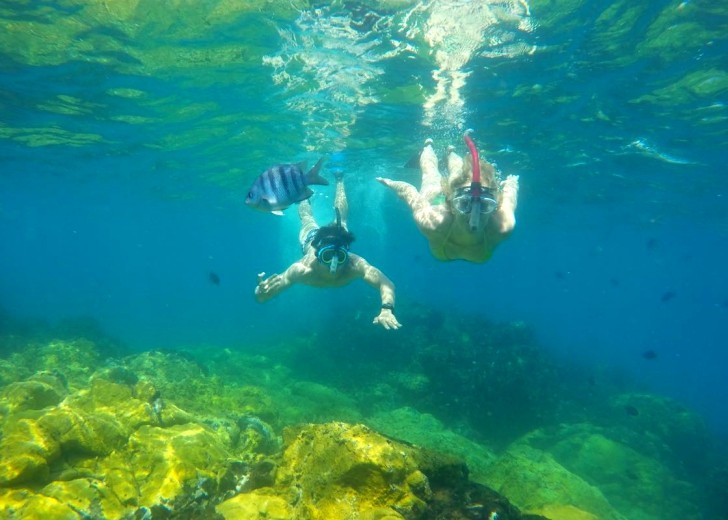 Yane Marques e Aloísio Sandes no mergulho 