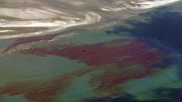 Incidente fez com que quase 5 milhões de barris de petróleo fossem despejados no oceano  (Foto: AFP/via BBC News Brasil)