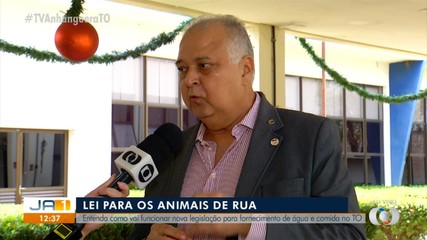 Lei autoriza a população a alimentar animais de rua nas vias públicas; saiba mais