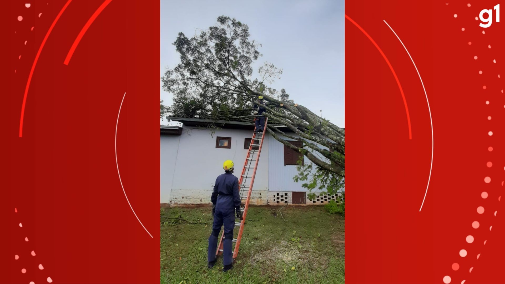 FOTOS: chuva derruba árvores e destelha casas no RS