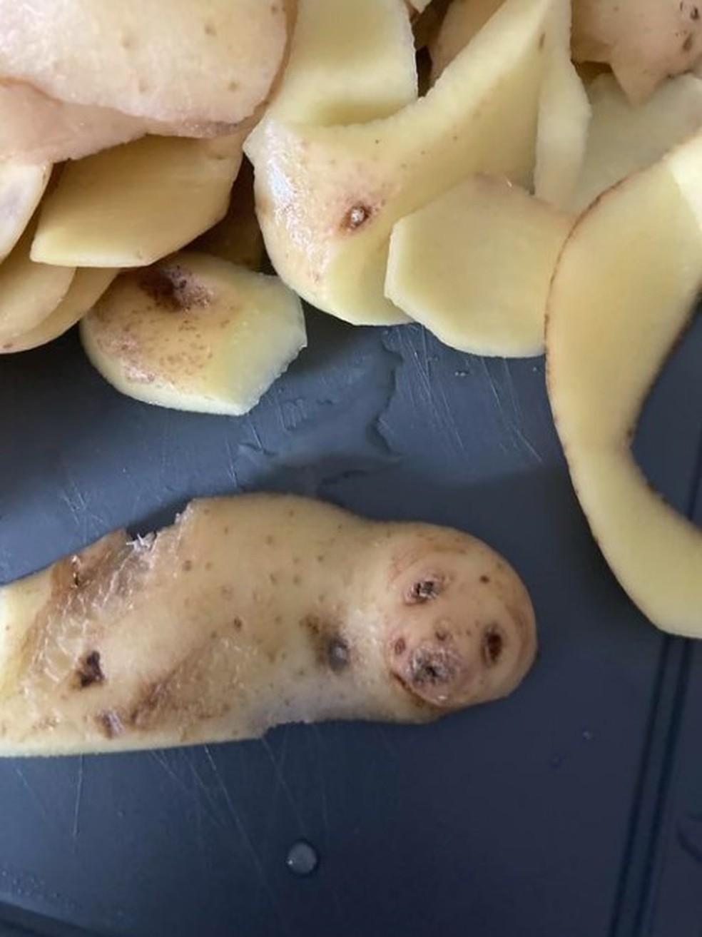 'Filhote de foca' em casca de batata na Inglaterra — Foto: Reprodução/Facebook
