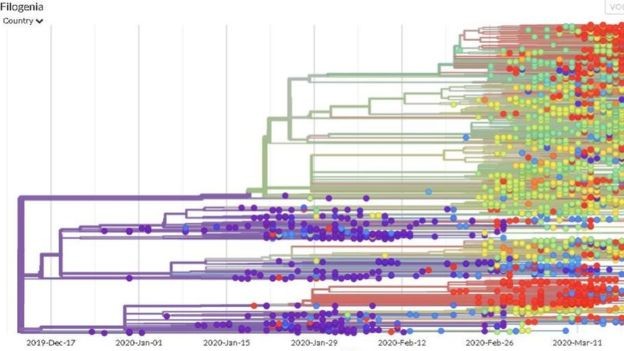 Site NextStrain apresenta mutações genéticas ao longo do tempo (Foto: Reprodução)