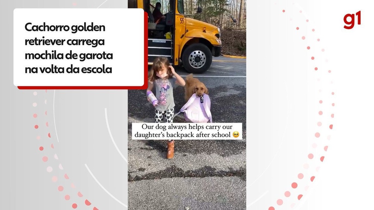 Pet dog in the US waits for girl to come home from school to carry her backpack; WATCH