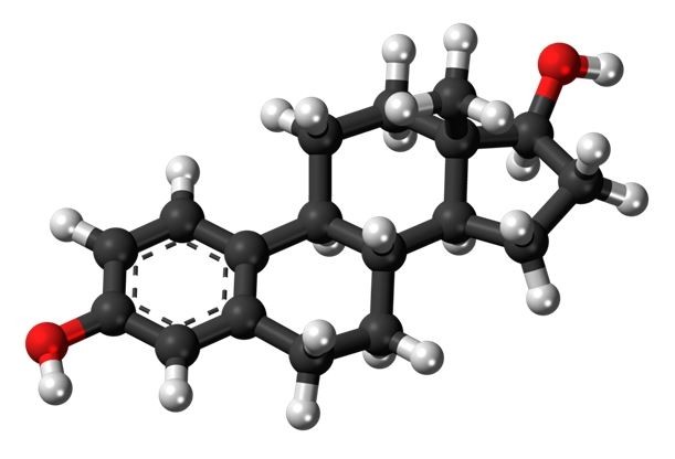 Estudo apoiado pela FAPESP investiga possível atividade inibidora dos estrogênios na evolução da COVID-19. Objetivo é chegar a fármacos com potencial terapêutico (imagem: modelo do 17β-estradiol) (Foto: Wikipedia Media Commons)