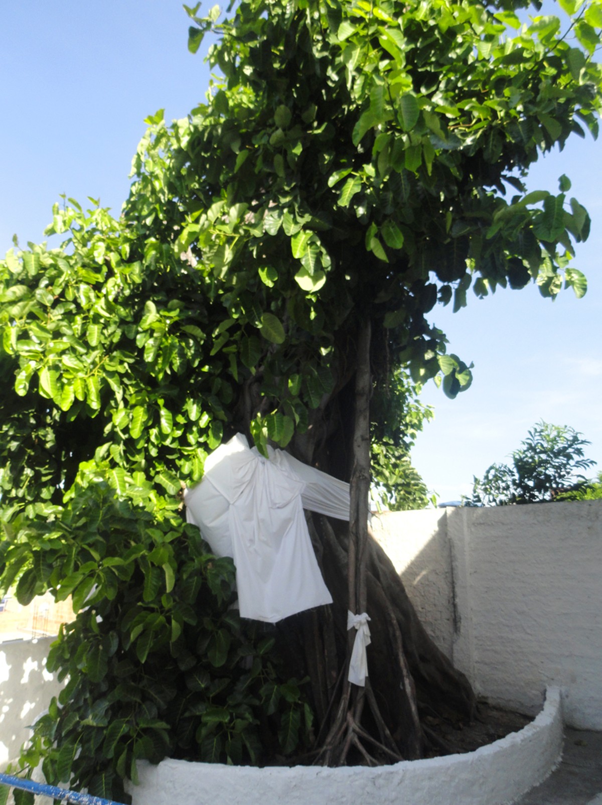 Terreiro Ile Aşé Kalè Bokùn é reconhecido como Patrimônio Cultural de
