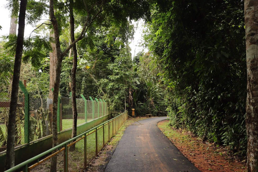 Parque vai funcionar de terça a domingo, das 7h às 17h — Foto: Letícia Rocha/Semeia