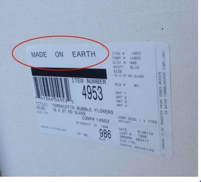 'Feito na Terra'... Que alívio! Como seriam flores alienígenas?