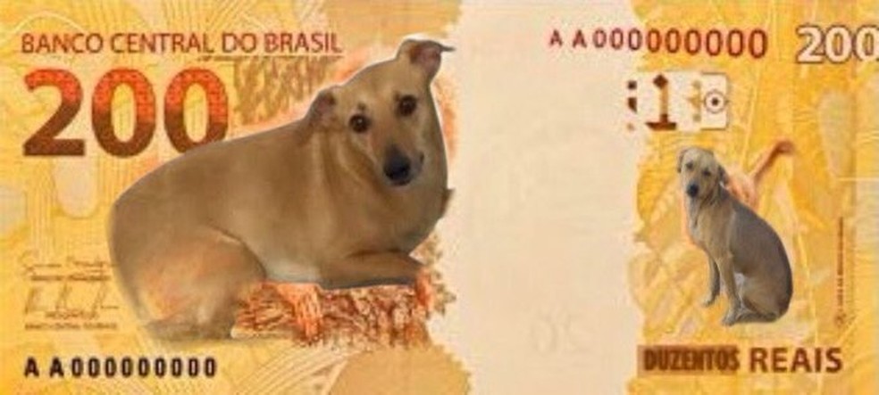 Anúncio de nova nota de R$ 200 gera memes nas redes sociais — Foto: Reprodução/Twitter